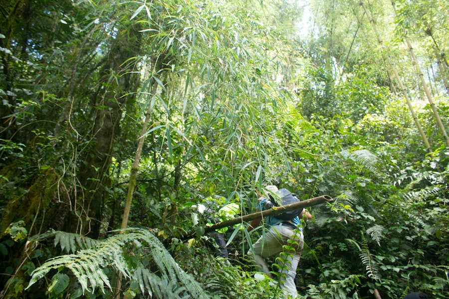 jungle scout chrome extension