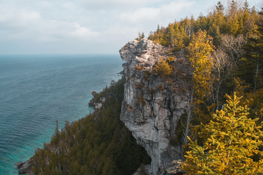 cleveland cliffs stock