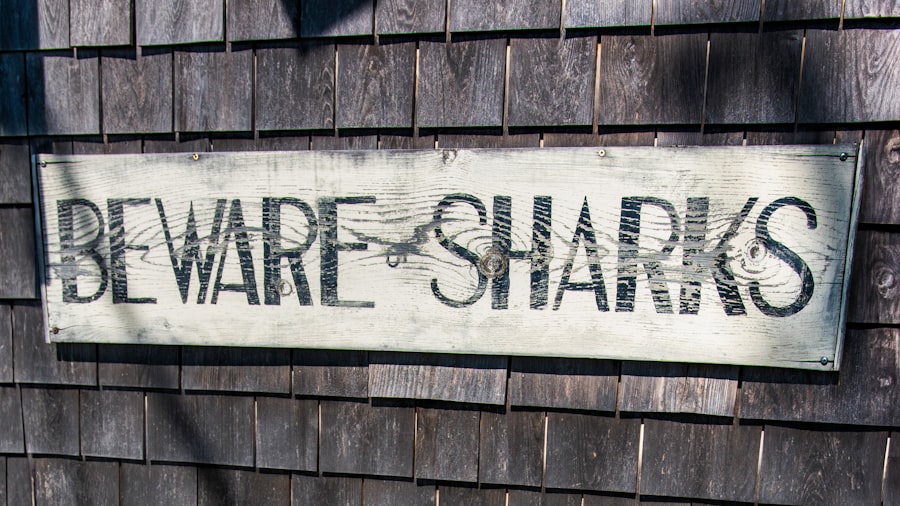 share market today open