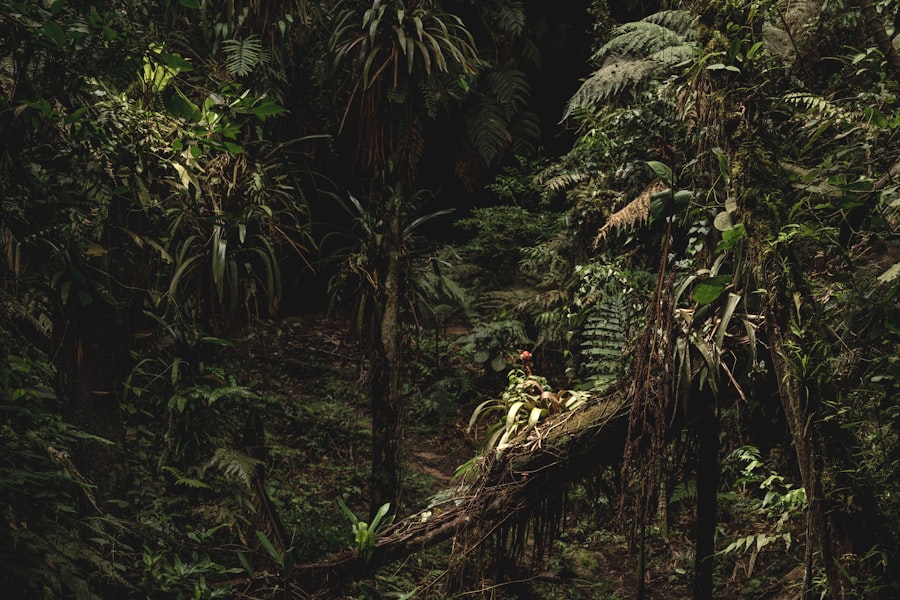 jungle scout alternatives