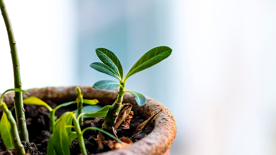 sustainable business growth