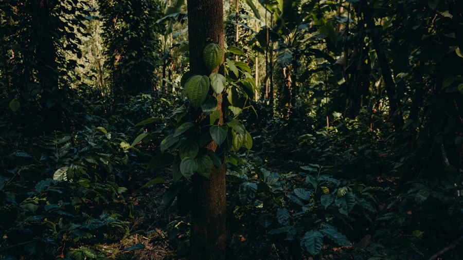 Photo jungle scout sales estimator