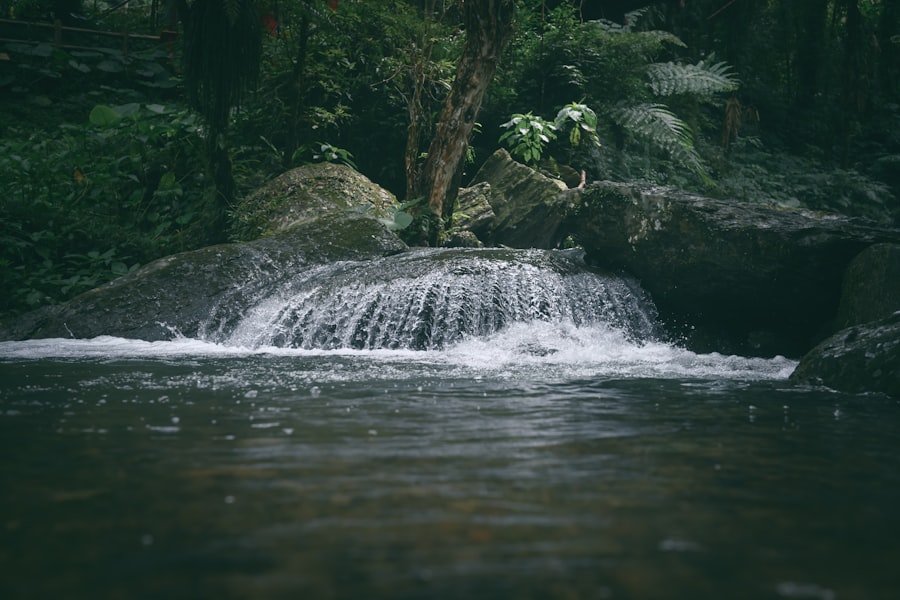 Photo income streams