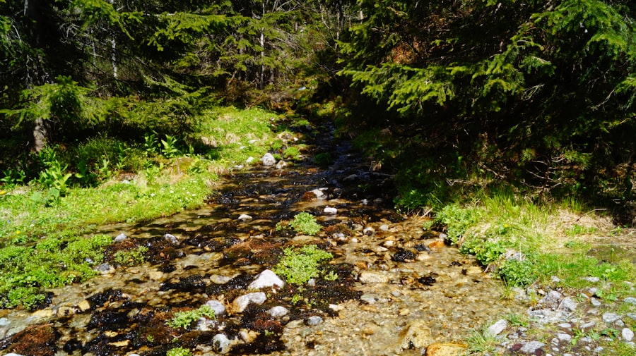 Photo streams of income