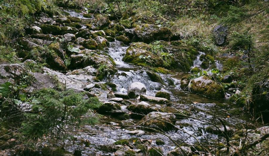 Photo streams of income