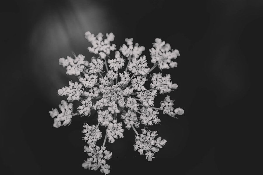 Photo snowflake stock