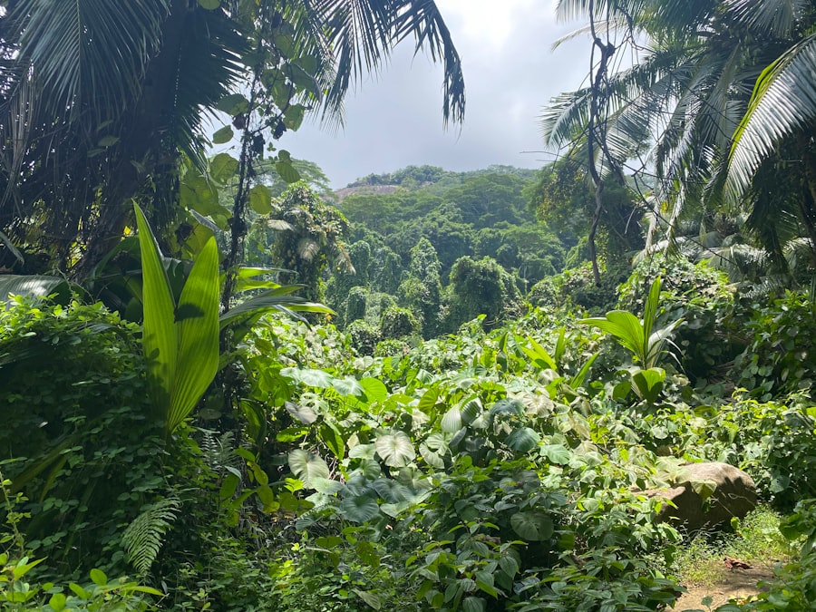 Photo jungle scout extension