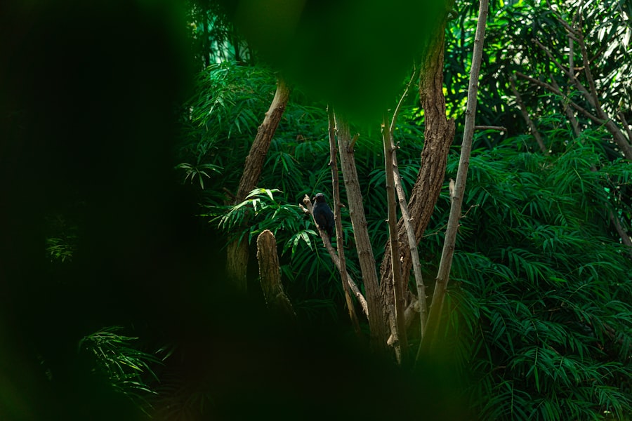 Photo jungle scout chrome extension