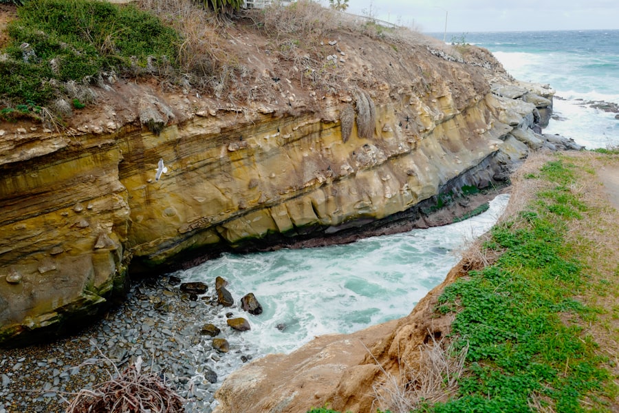 Photo cleveland cliffs stock