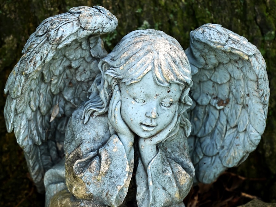 Photo angel investors