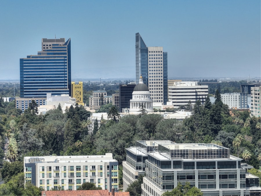 Photo palo alto stock