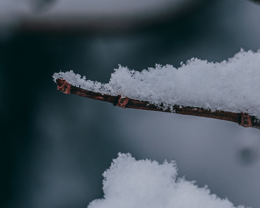 Photo snowflake stock price