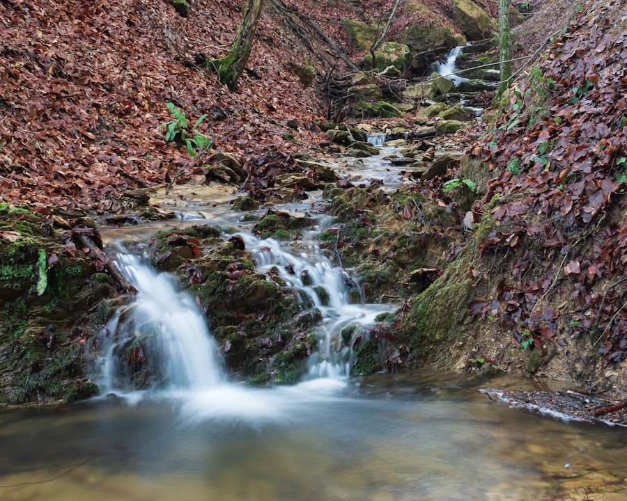 Photo streams of income