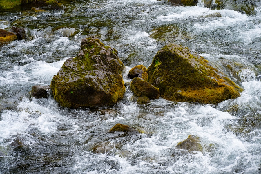 Photo streams of income