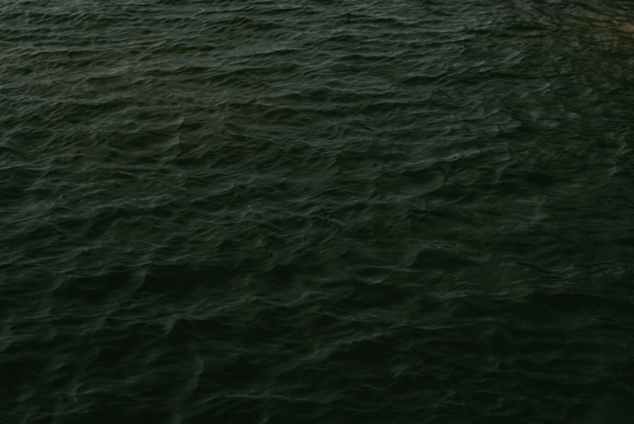 Photo mcdonalds stock price