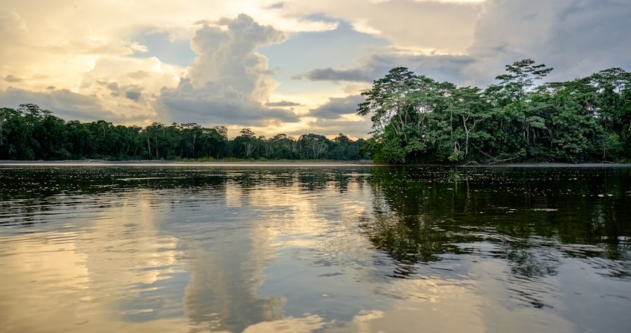 Photo seller central amazon ae