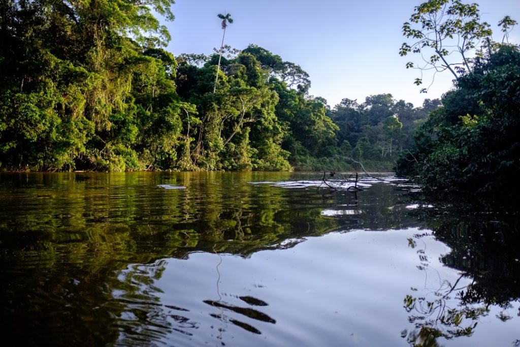 Photo sellercentral amazon