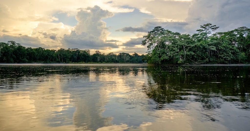 Photo seller central amazon