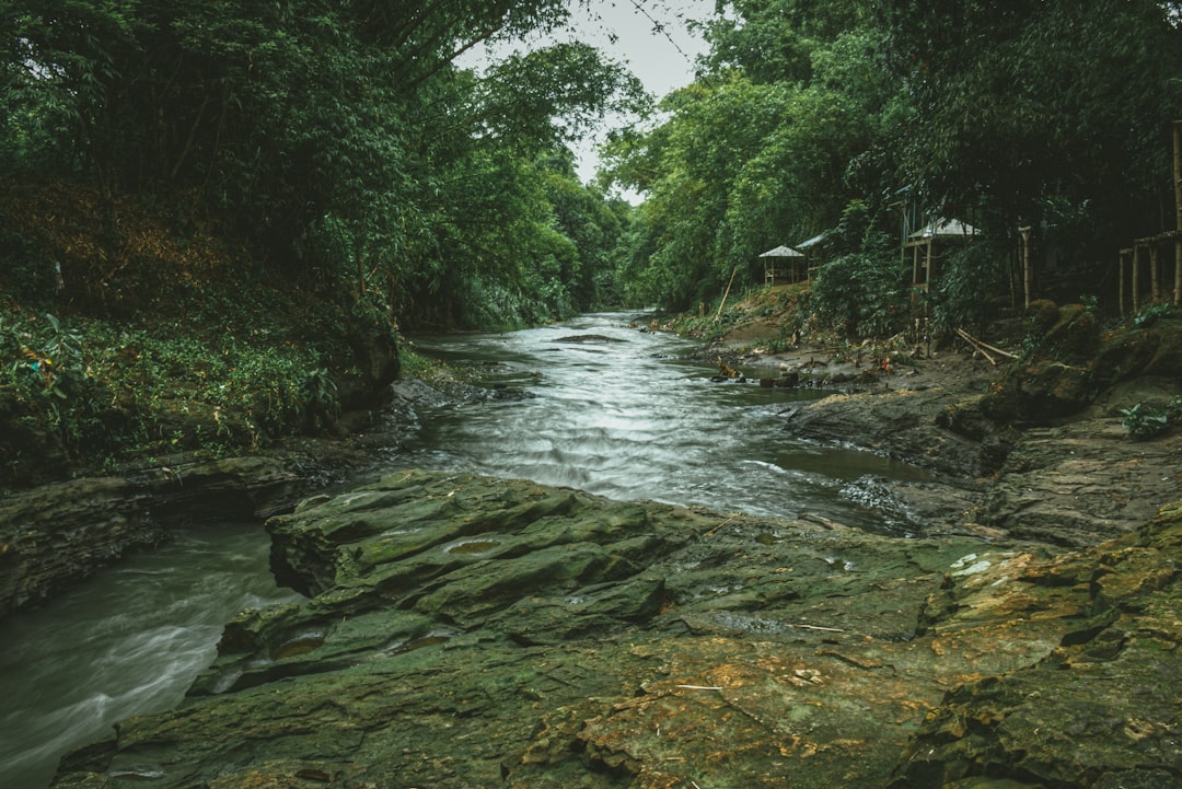 Photo streams of income