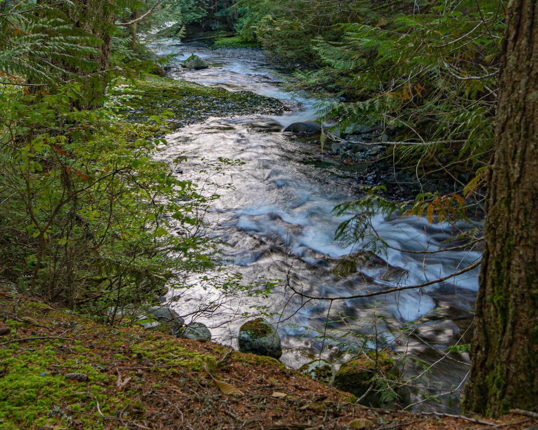 Photo income streams