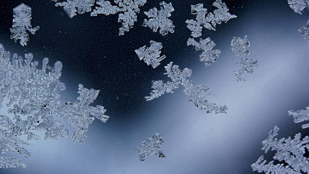 Photo snowflake stock