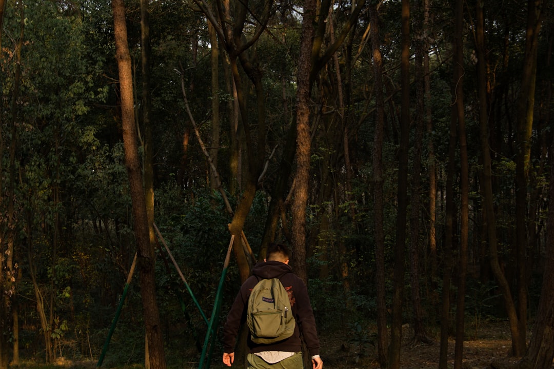 Photo jungle scout extension