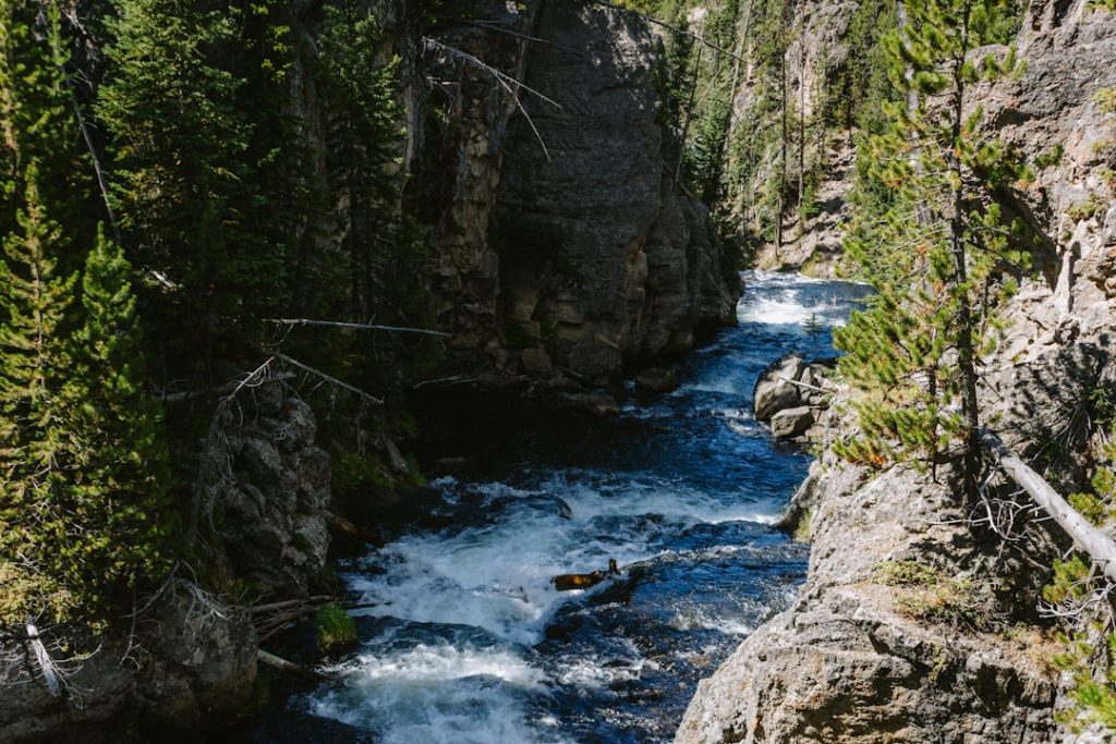 Photo income streams