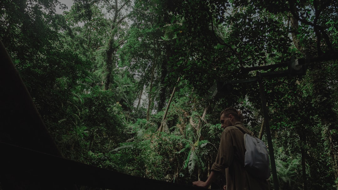 Photo jungle scout free