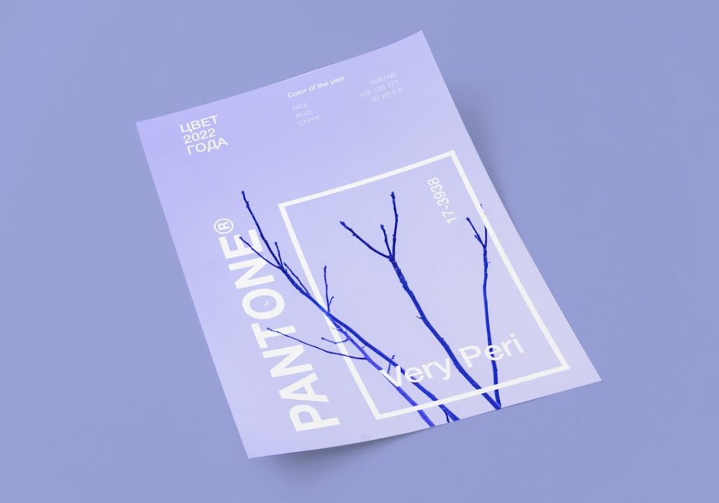 Photo passive income online