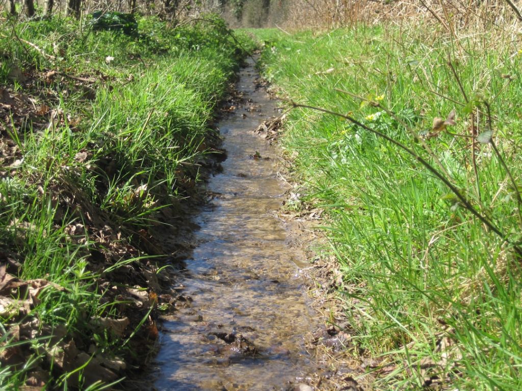 Photo streams of income