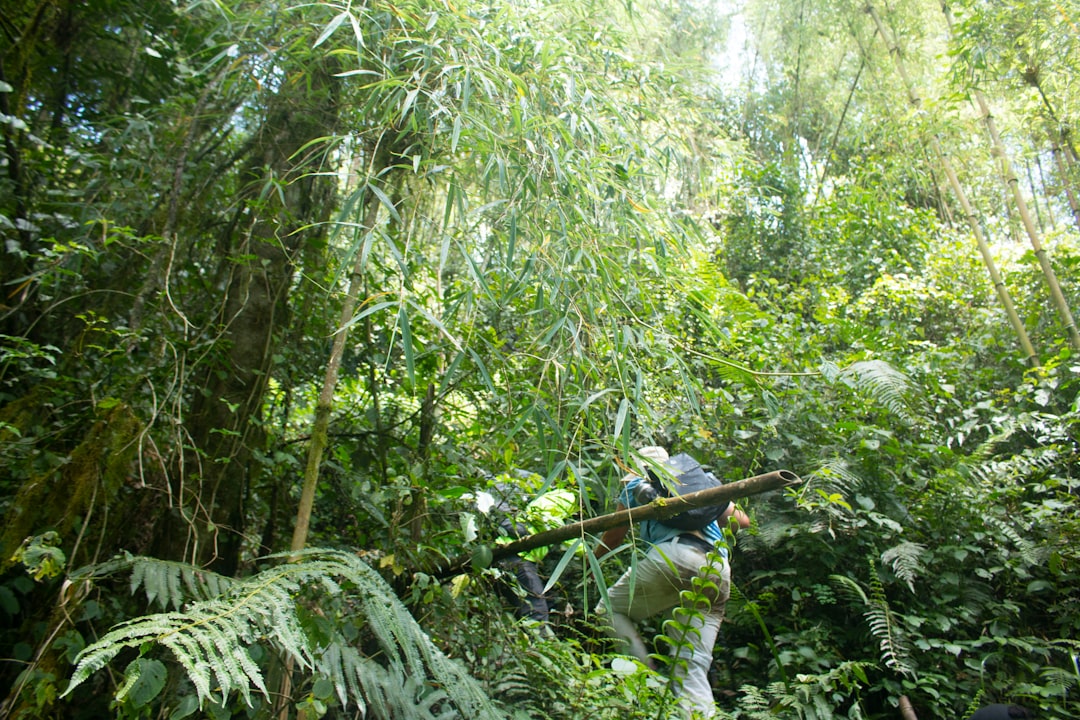 Photo jungle scout alternatives