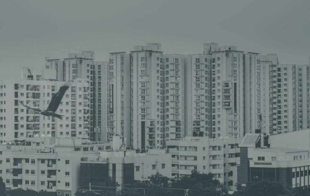 Photo market development plan