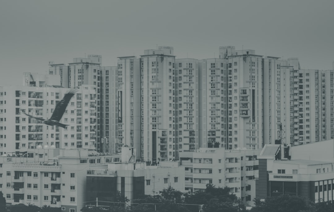 Photo market development plan